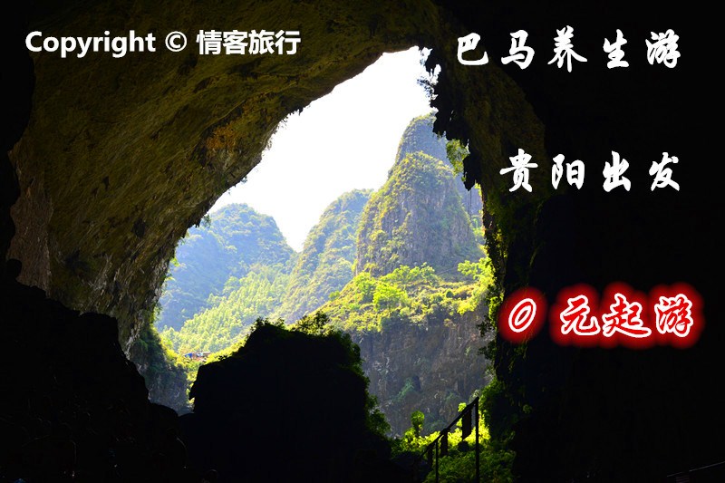 巴马养生游