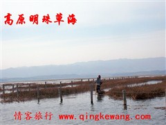 100_5965.JPG