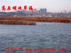 100_5974.JPG