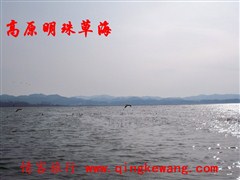 100_6012.JPG