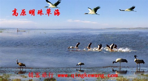 草海4.jpg