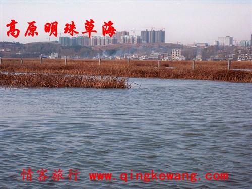 100_5974.JPG