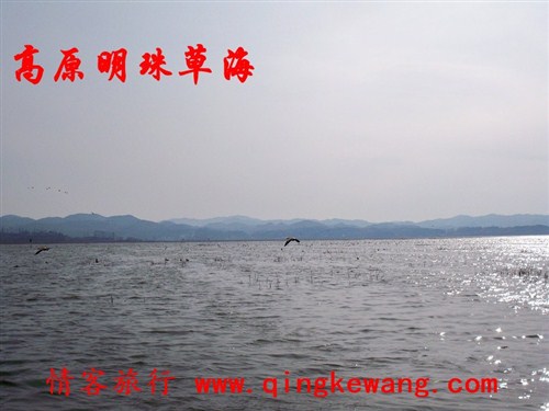 100_6012.JPG