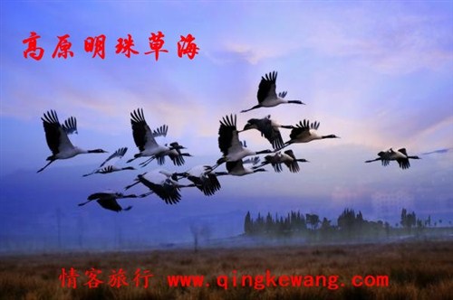 草海1.jpg
