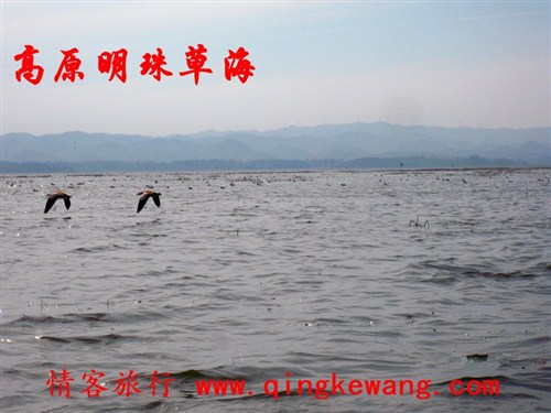 100_5994.JPG