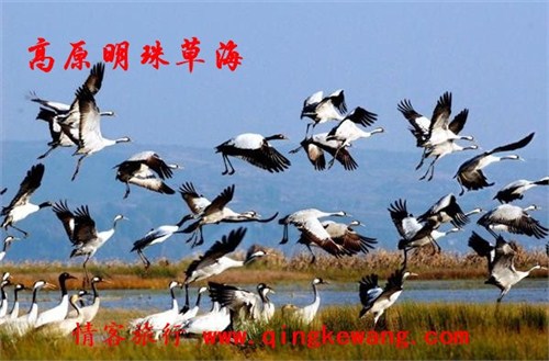 草海2.jpg