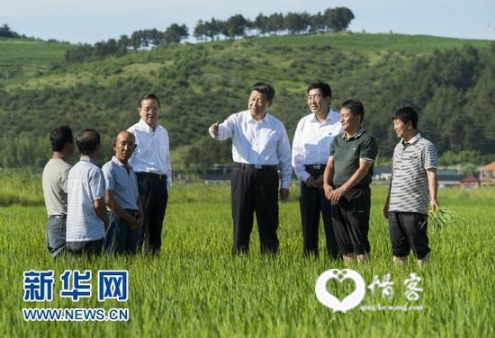 写在首个“中国农民丰收节”