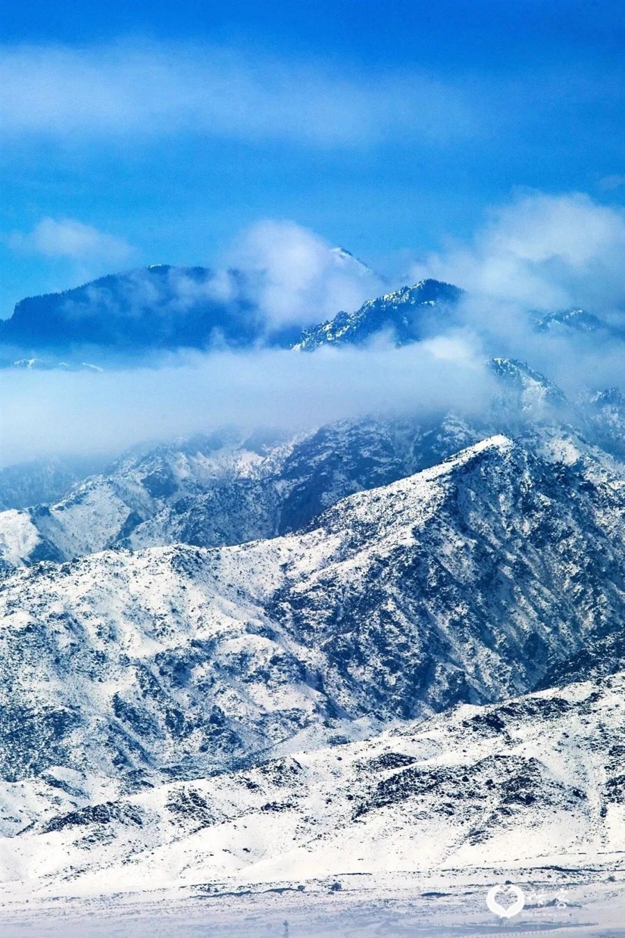 贺兰晴雪。摄影/徐胜凯