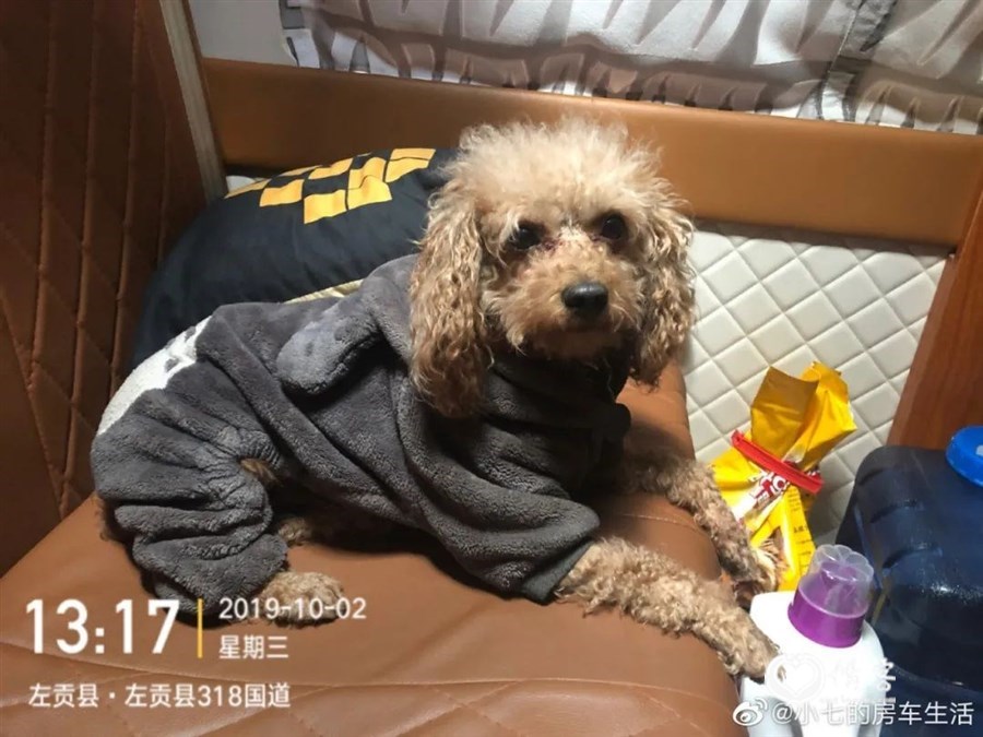 后疫情时代，房车游能否走向“诗与远方”？