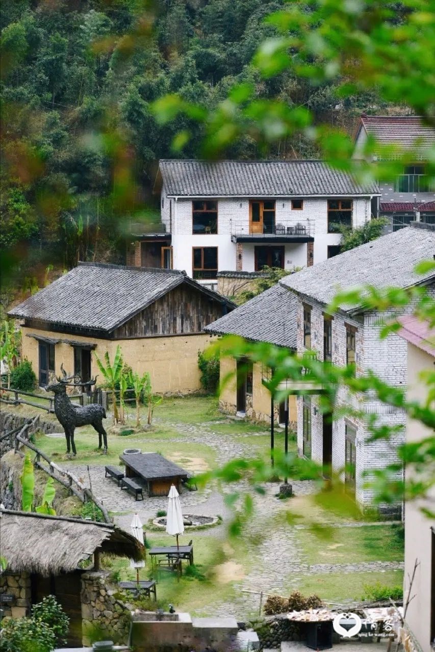 ©图虫 坐地老妖