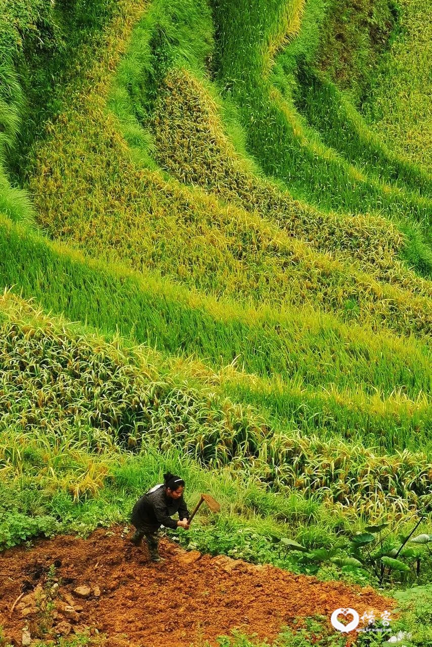 等一个人，陪我去贵州