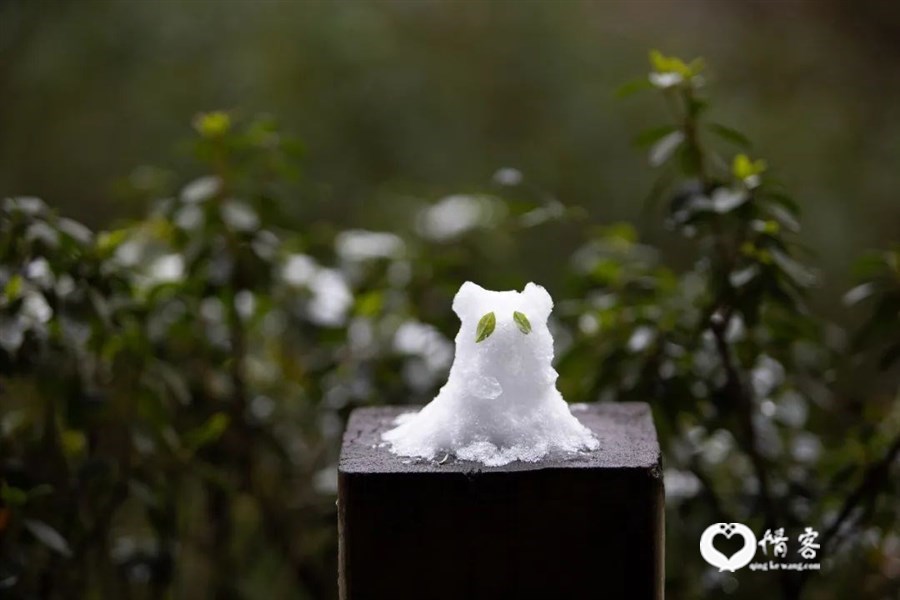 ▲ 图1文殊院的雪。图二2021年1月8日，成都，大熊猫乐享雪景。游客堆了一只雪熊猫。 图1摄影/胡文凯 图2/视觉中国
