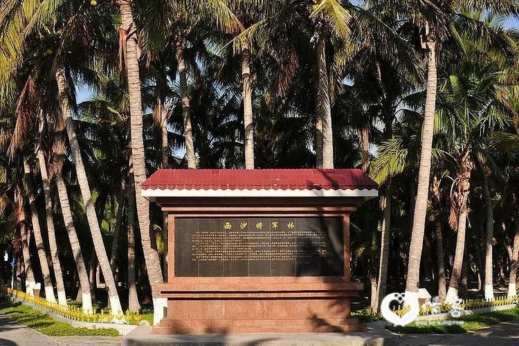 西沙将军林 资料图