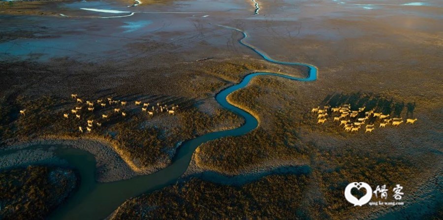 △盐城拥有全亚洲海岸线最长的淤泥质滨海湿地。/图虫创意