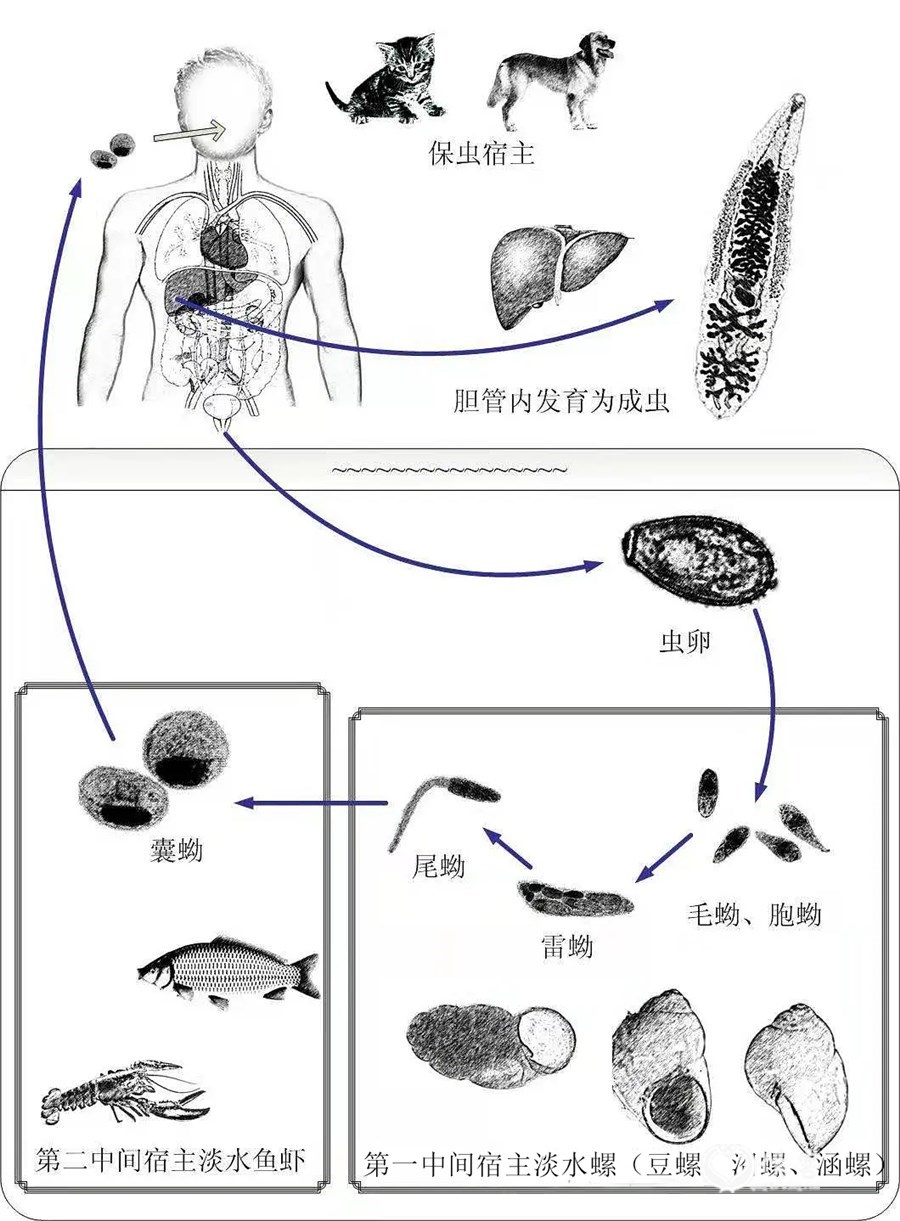 图片丨作者提供