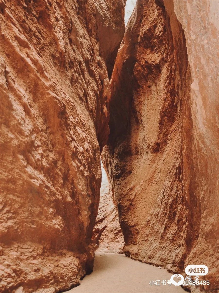 △ 天山大峡谷。图by 小红书“260480485”