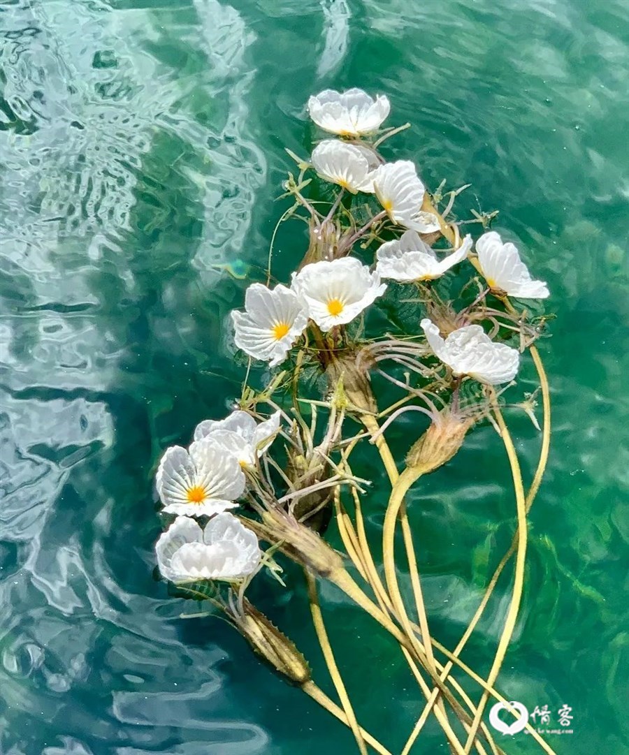 6月最佳旅行地，过一个25℃的夏天！