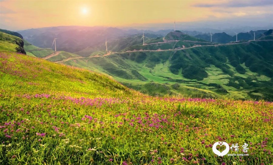 走，去毕节，过21℃的夏天！