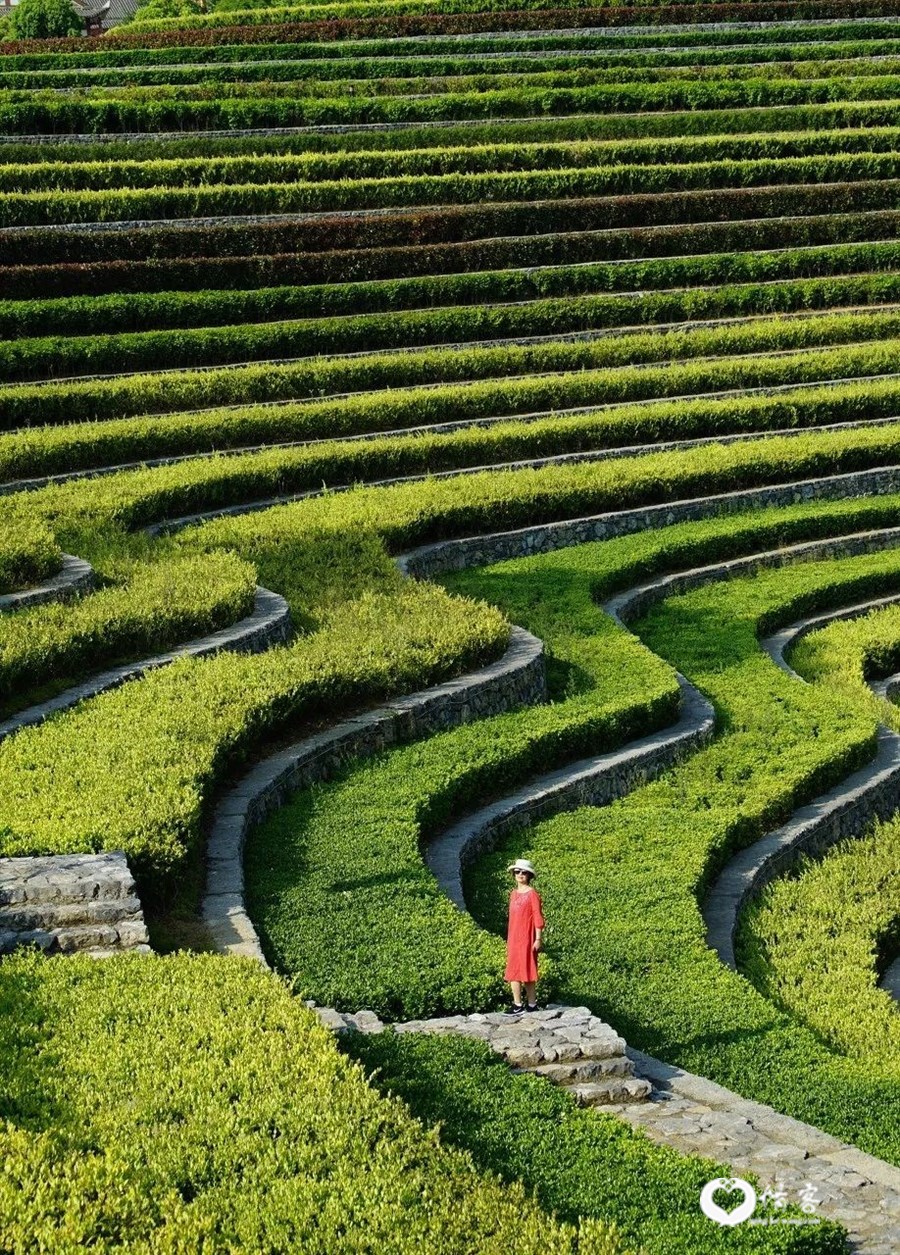©图虫 枫林6月