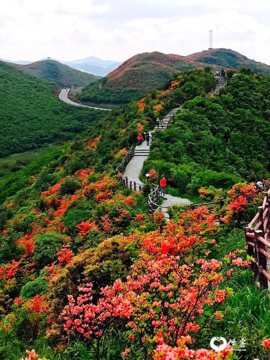 ©图虫 LIUWEI77997