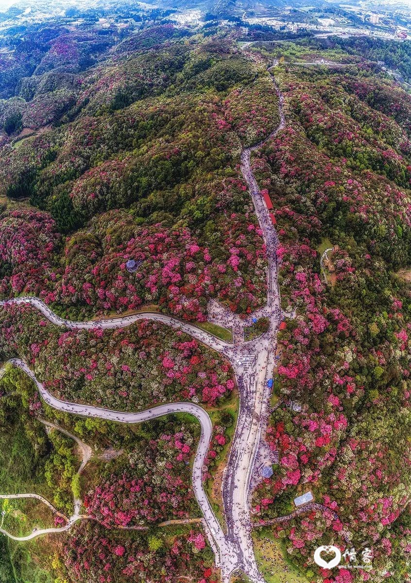 ©图虫 老李哥